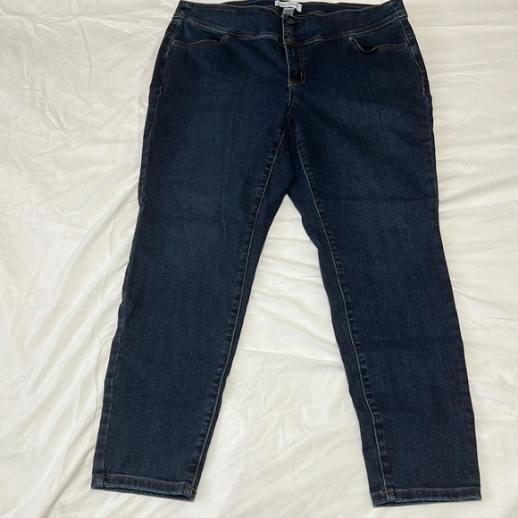 Lane Bryant Denim - Lane Bryant Jeggings